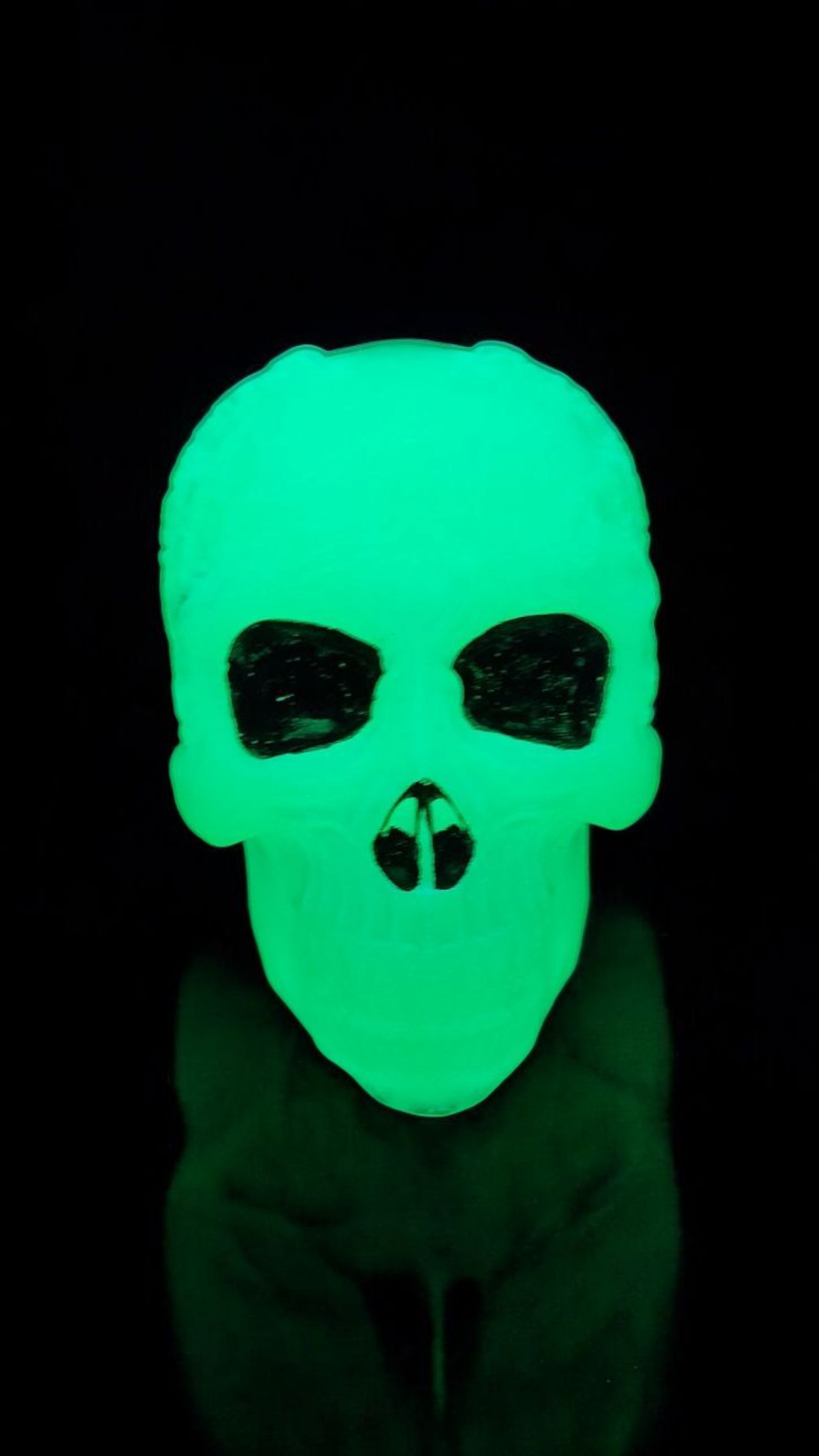 Glow in the Dark Skull