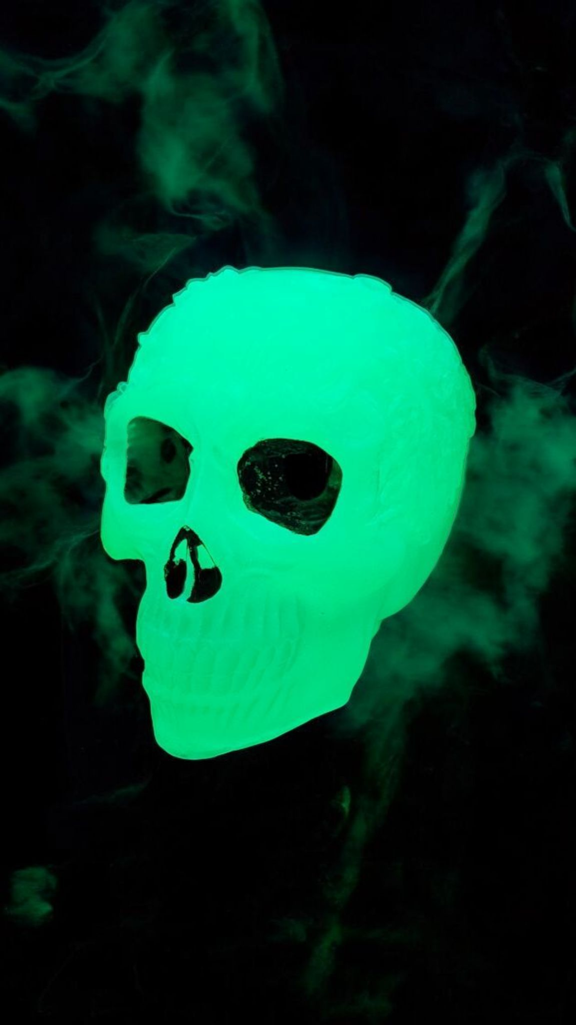 Glow in the Dark Skull