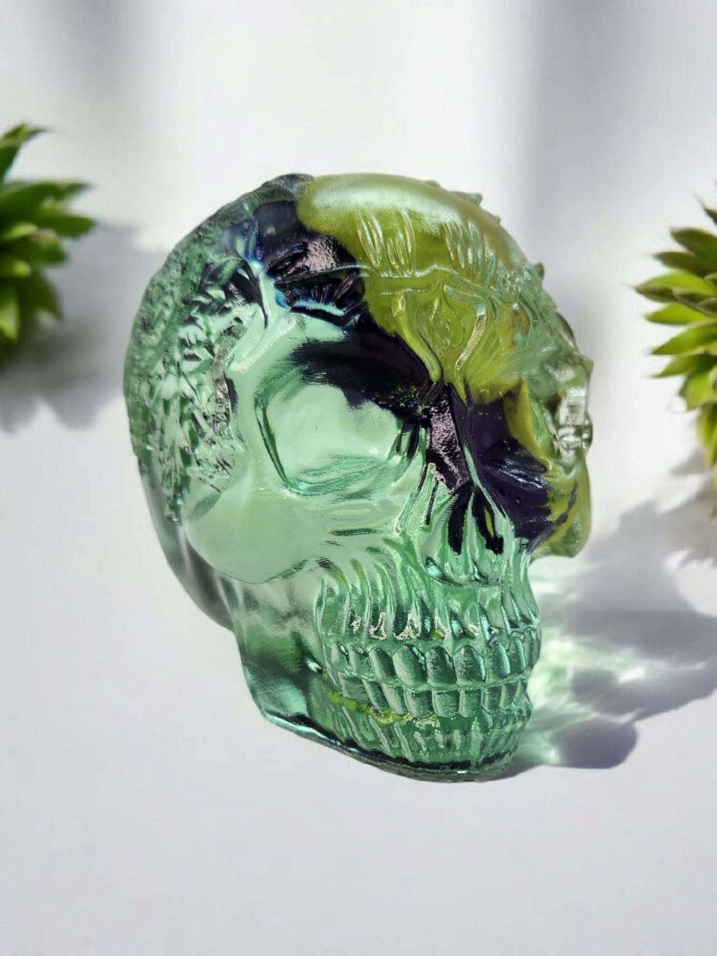 Resin Skull