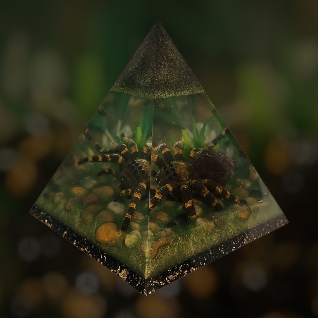 Tarantula Pyramid Decor