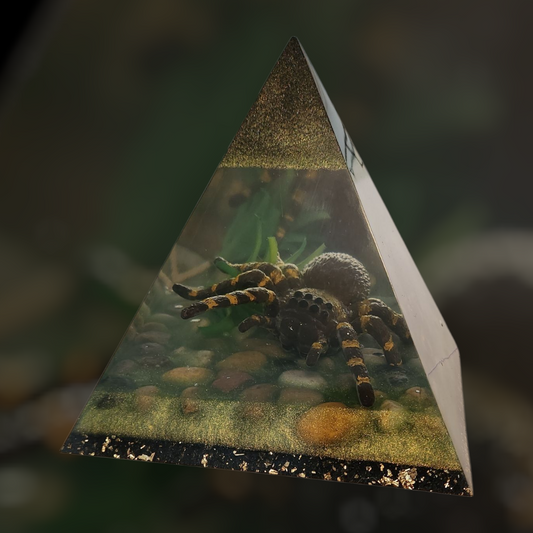Tarantula Pyramid Decor